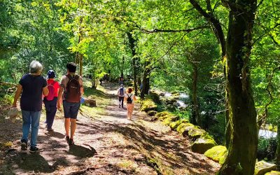 HIKE & WINE | Do Trilho Ao Copo, Um Percurso Sensorial (Vale do Lima)