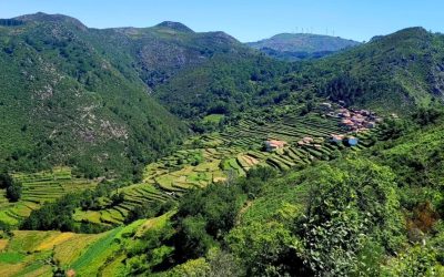 Paisagem Cultural de Sistelo | Caminhar