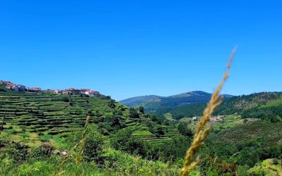 Terras do Vez | Comunidade,  Paisagem e Ritmos Ancestrais [Reservar]