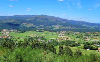 Território do Alvarinho / Albariño — Fronteira e Atlântico