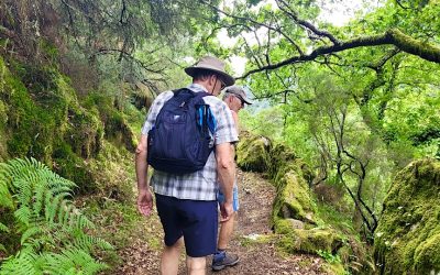 Caminhar, Natureza e Cultura do Vinho