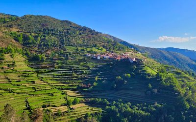 Socalcos de Sistelo & Vale do Vez | TOUR