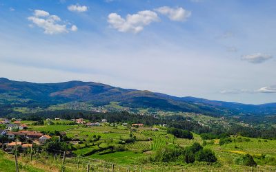 O Rio, o Vinho e a Memória da Fronteira (Enoturismo & Património)