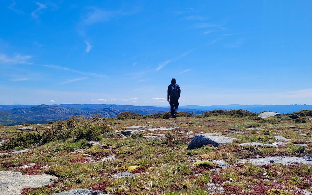 COACHING E IMERSÃO NA NATUREZA