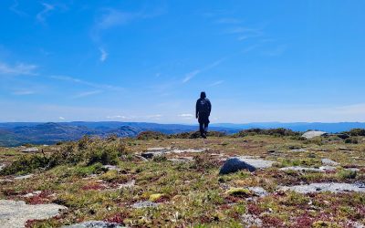 COACHING DE NATUREZA