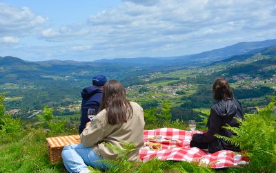 Território do Alvarinho — Identidade e Cultura de Fronteira [Reservar]