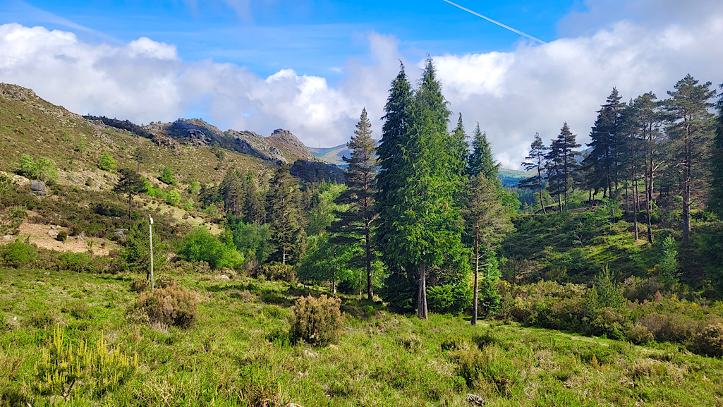 Lamas de Mouro – Peneda (GR50)