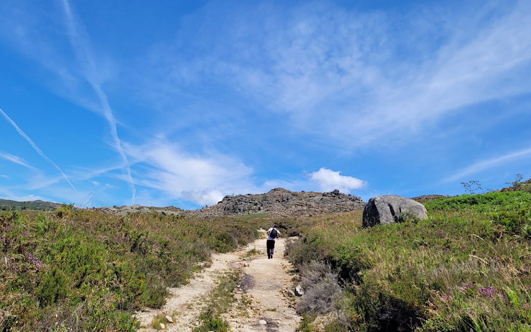 Os Benefícios da Natureza na Era Digital