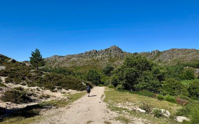 Caminhar | Grande Rota da Peneda Gerês (GR50)