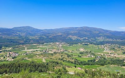 O vinho como paisagem cultural