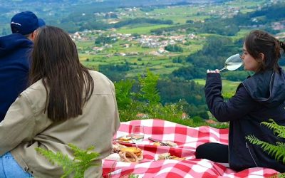 Território do Alvarinho  | Premium