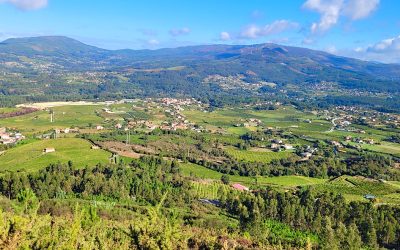 🍃Alvarinho / Albariño — Um Território Partilhado