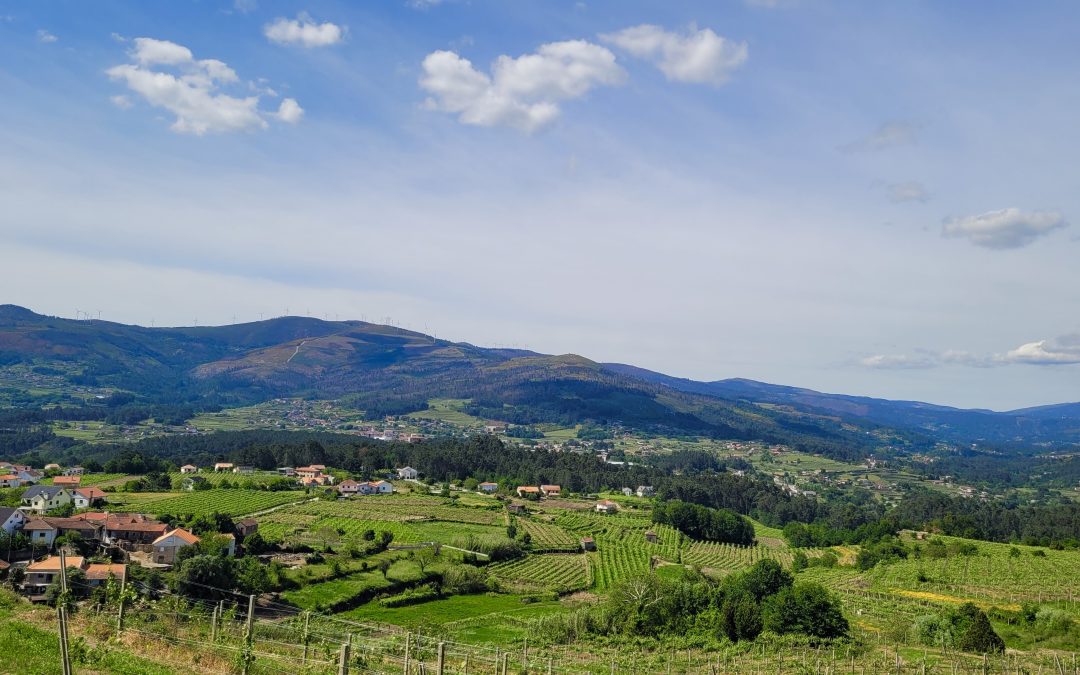 O vinho como paisagem cultural