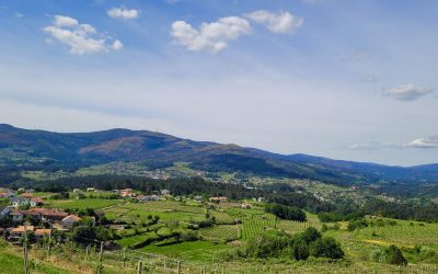 O Vinho Como Paisagem Cultural