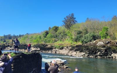 Pescadores do Rio Minho — Memória Viva da Fronteira