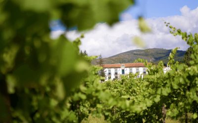 Quinta do Hospital | Monção & Melgaço