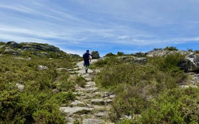 O que é caminhar na natureza com WWG?