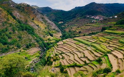 TOUR | Do Vale do Lima aos Socalcos de Sistelo | Vinhos Verdes