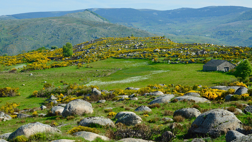 Massif Central: Onde o Tempo Se Vive e Sente