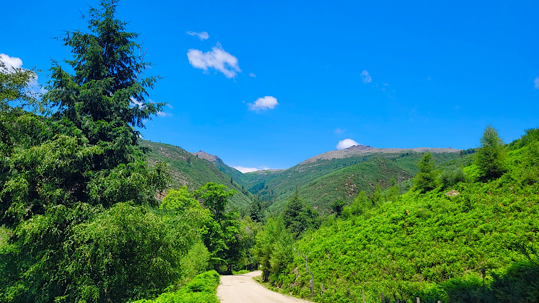 Começamos pelo Verde