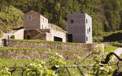 Melgaço Alvarinho Houses