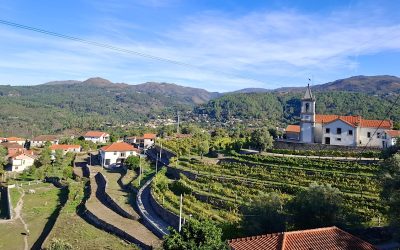 Da Montanha ao Vale — Uma Outra Leitura do Vinho