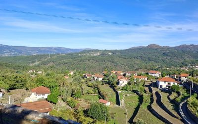 Paisagem de Montanha — Entre a Terra e a Vinha