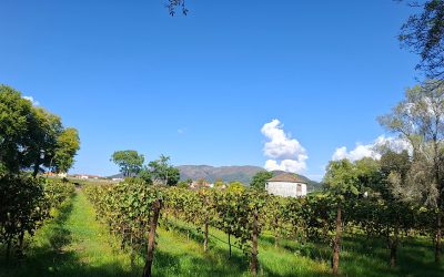 Vale do Lima — Da Paisagem Aberta à Montanha Agreste